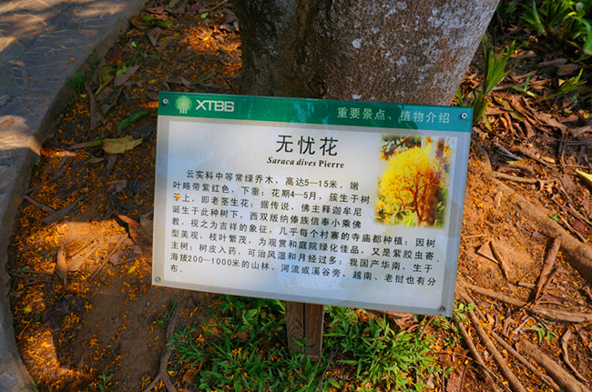 DSC03646__.jpg