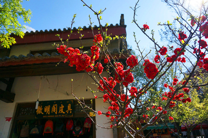 DSC03498__.jpg
