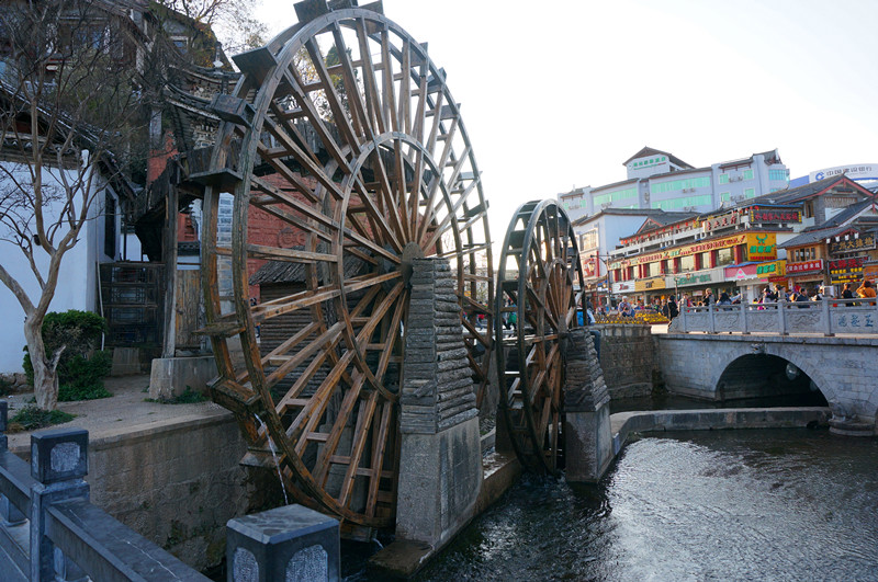 DSC03508_.jpg