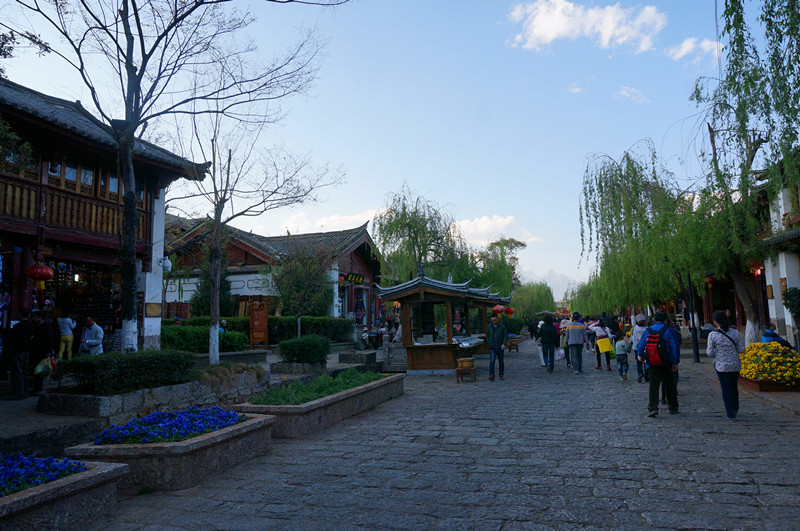 DSC03502_.jpg