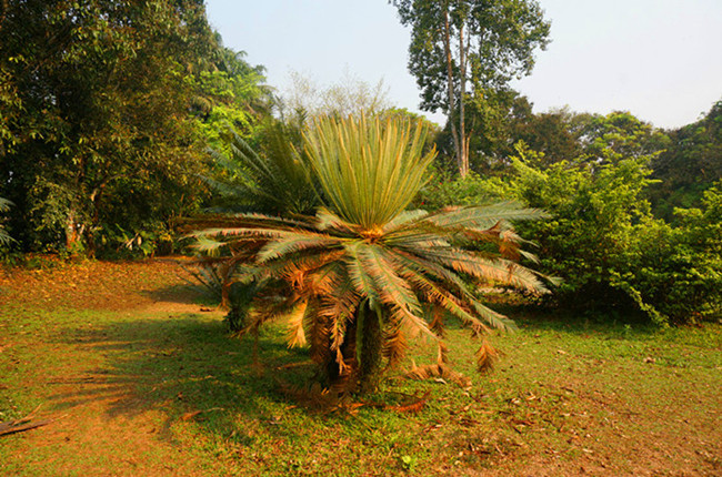 DSC03612___.jpg