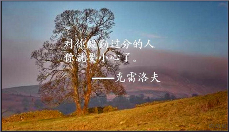 2516949241764316450_.jpg