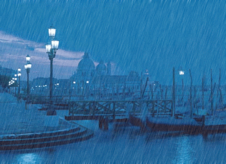 6.gif