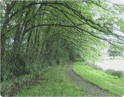 13.gif