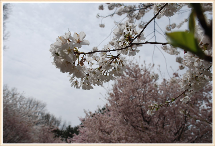 DSC_0033.jpg