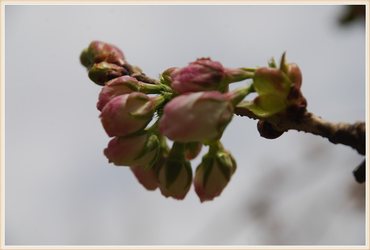 DSC_0222.jpg