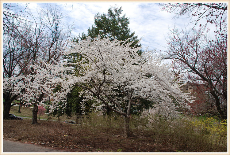 DSC_0194.jpg