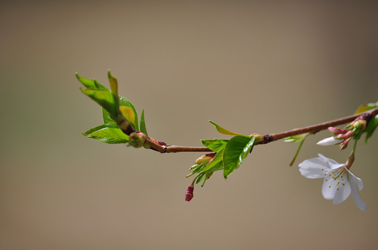 DSC_0667_.jpg