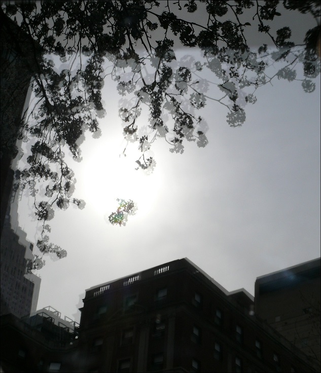 l1430735_conew2.jpg