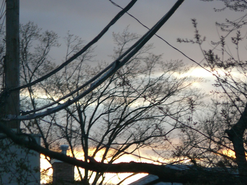 L1480393.JPG