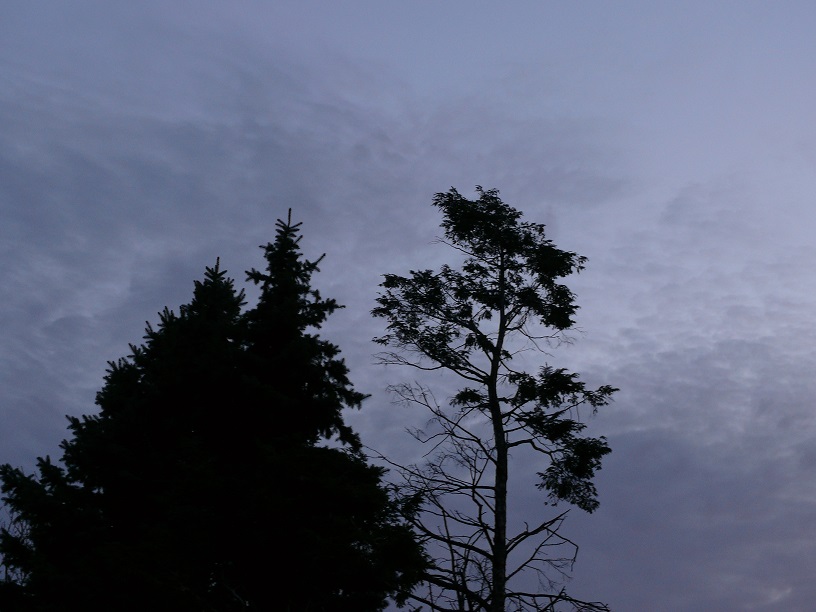 L1450059.JPG