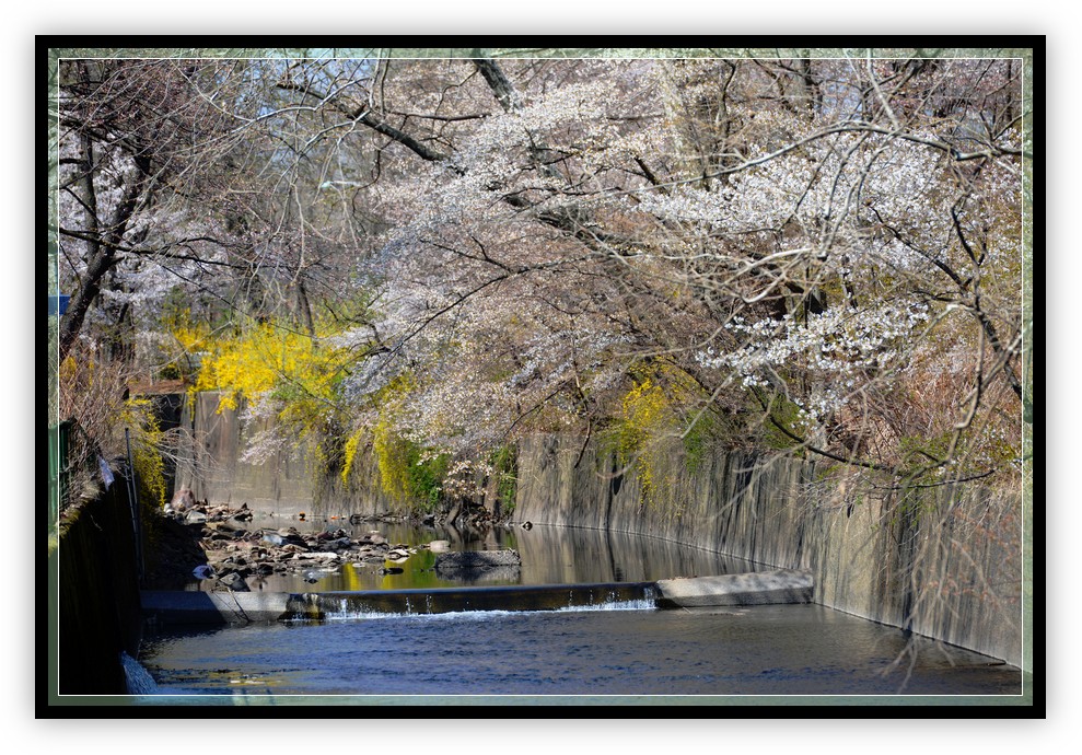 DSC_0721.jpg