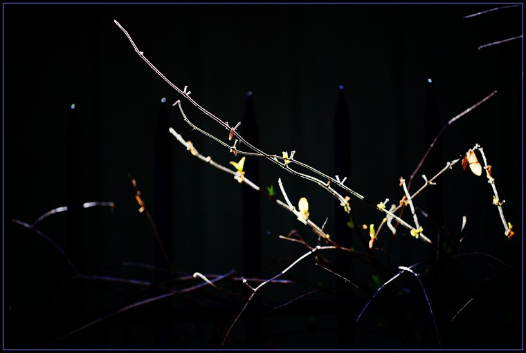 DSC_9251.jpg