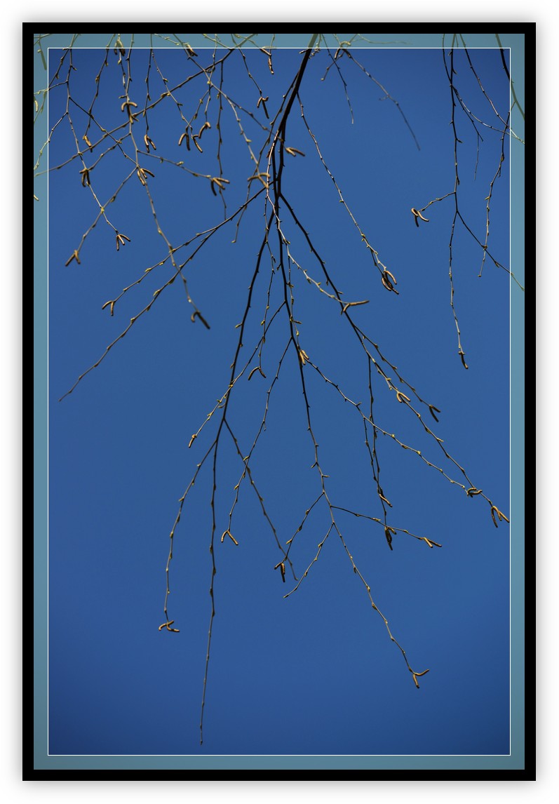 DSC_0895.jpg