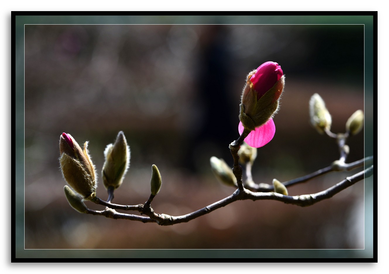 DSC_9889.jpg