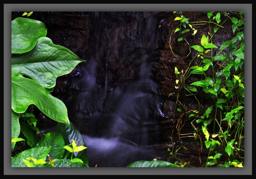 DSC_7911.jpg