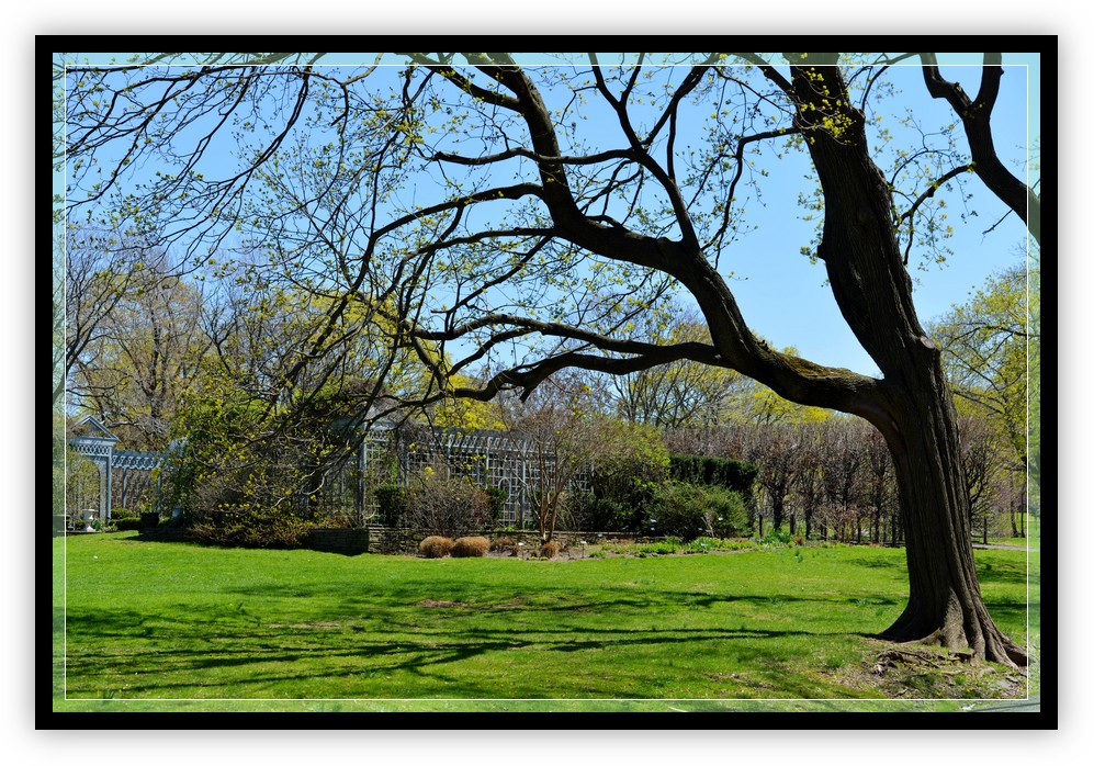 DSC_0889.jpg