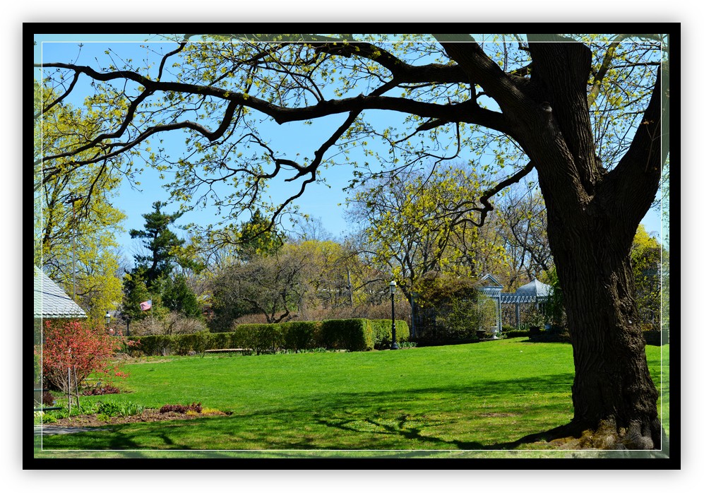 DSC_0890.jpg