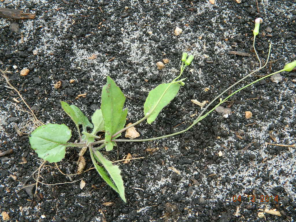 DSCN3864.JPG
