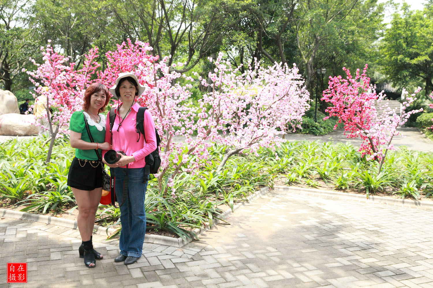 _MG_8072.JPG