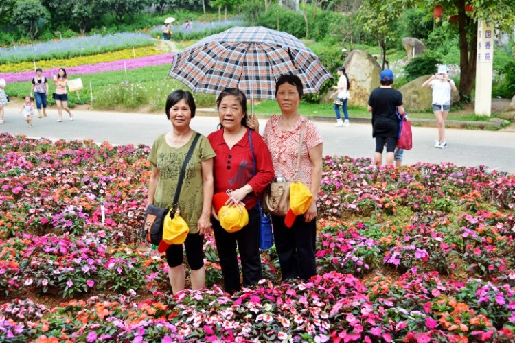 DSC_1281_conew2750.jpg