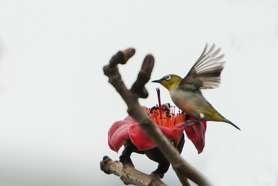 DSC_9290.jpg