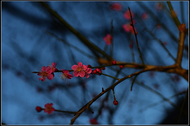 DSC_5840.JPG