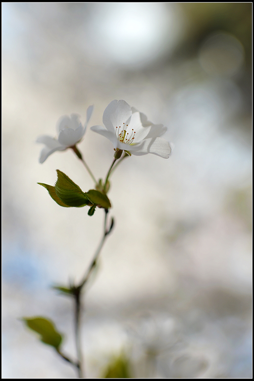 DSC_6328.JPG