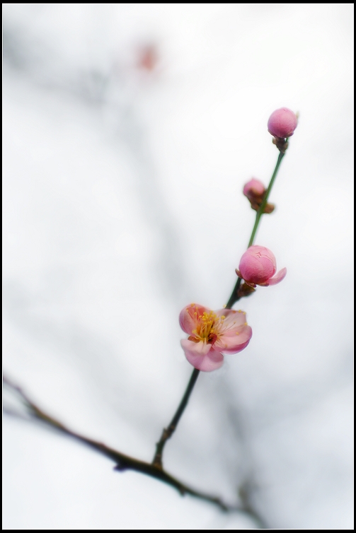 DSC_5745.JPG