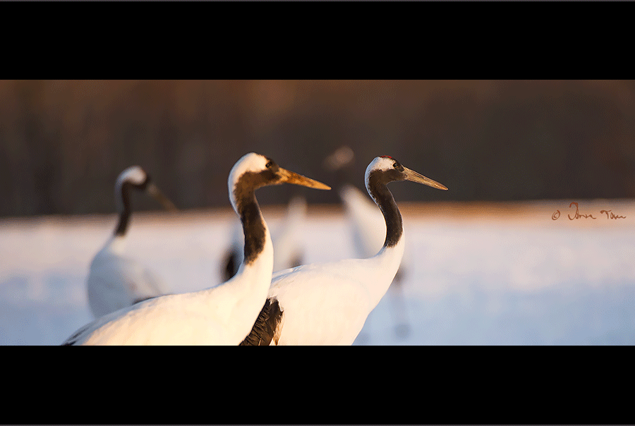 f_DSC2224j.gif
