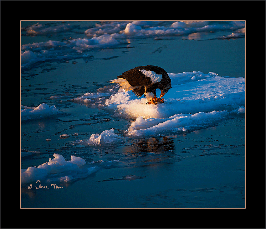 f_DSC3045j.gif