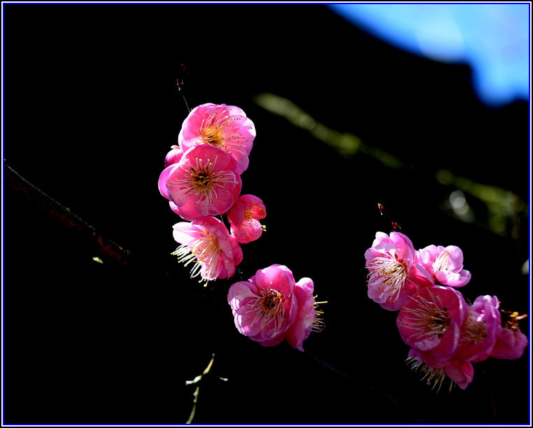 DSC_7536.jpg