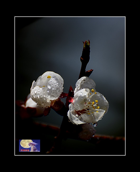 DSC_8759.jpg