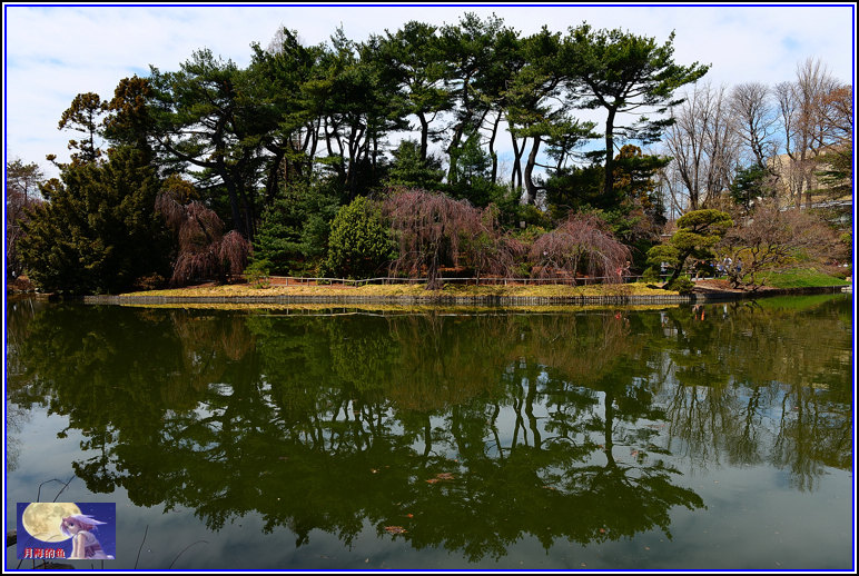 DSC_8609.jpg