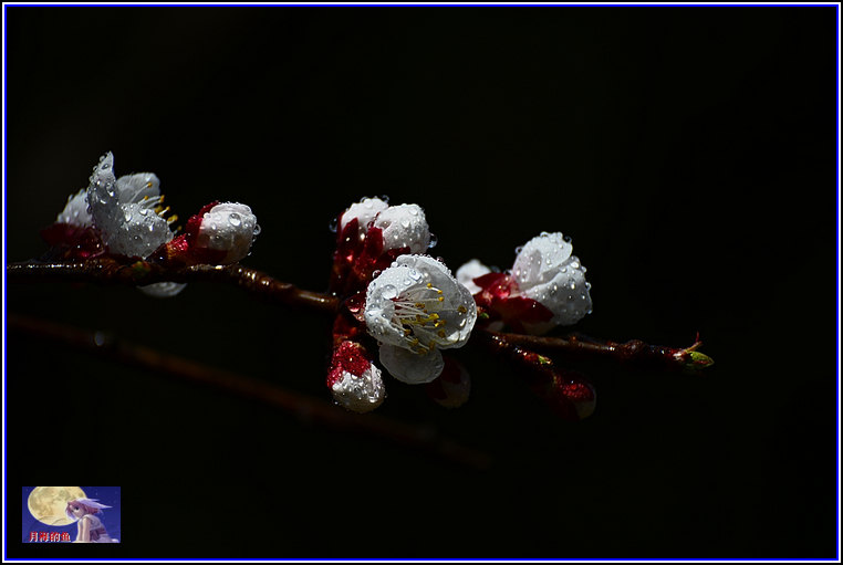 DSC_8758.jpg