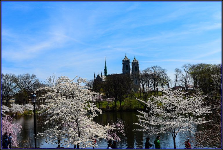 DSC_9780_.jpg