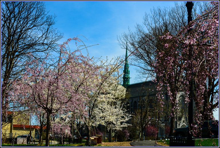 DSC_9775_.jpg
