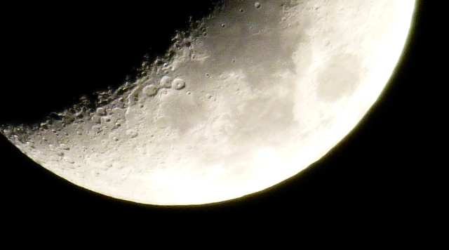P1000705_dh.jpg