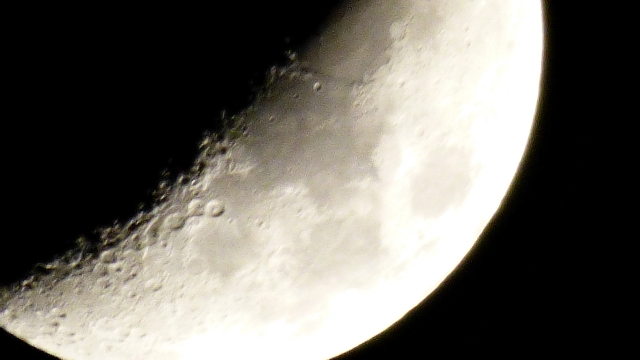 P1000707_dh.jpg