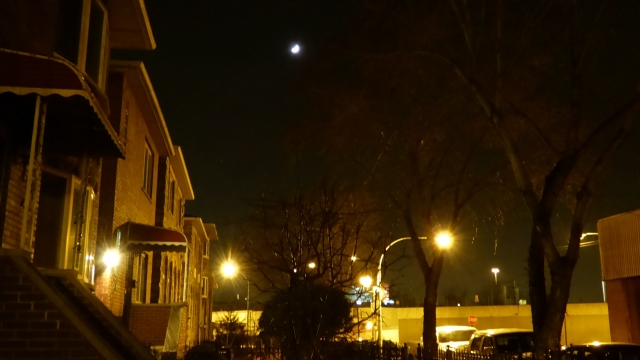 P1000698_dh.jpg