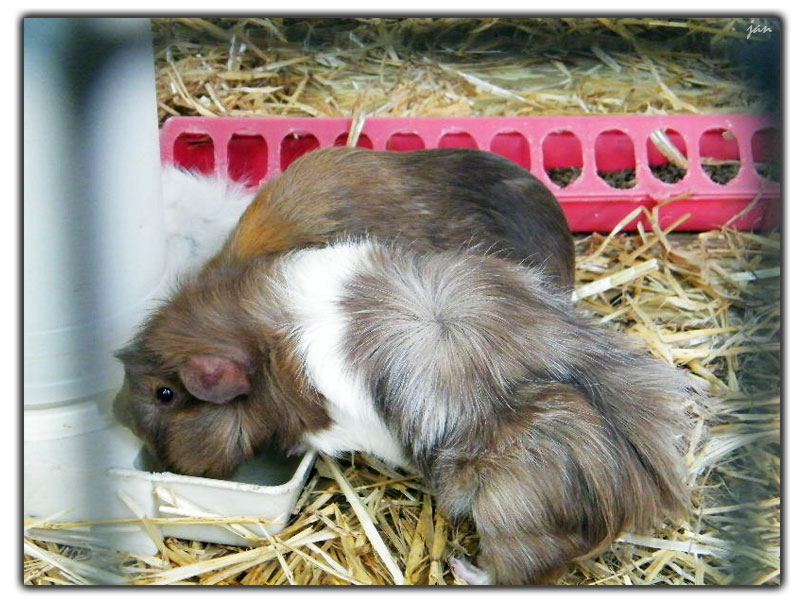 DSCF2082=.jpg