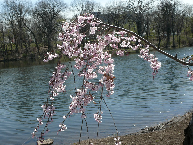L1440693.JPG