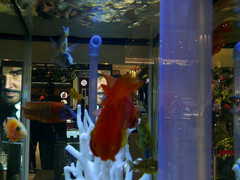 l1410294_conew2.jpg