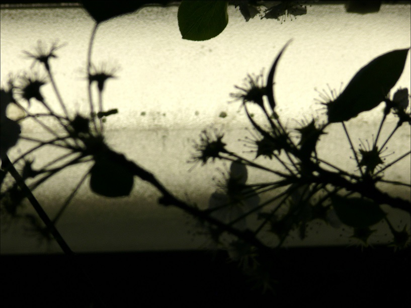 l1460277_conew2.jpg