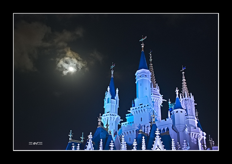 DSC_5444C.jpg