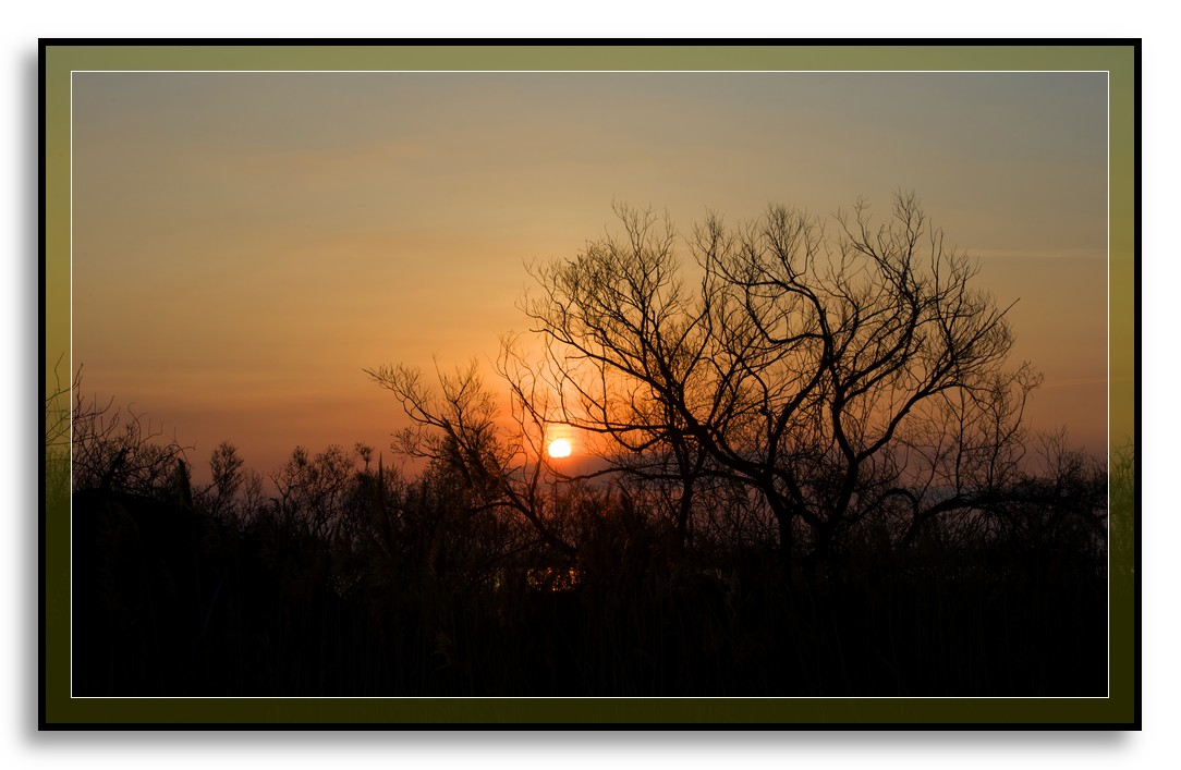 DSC_0003.jpg