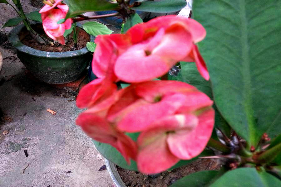 20140404_155121.jpg