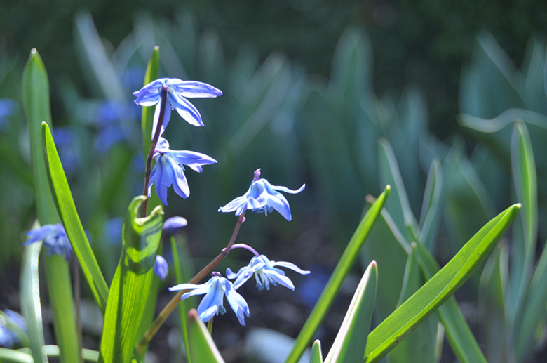DSC_0438_����.jpg