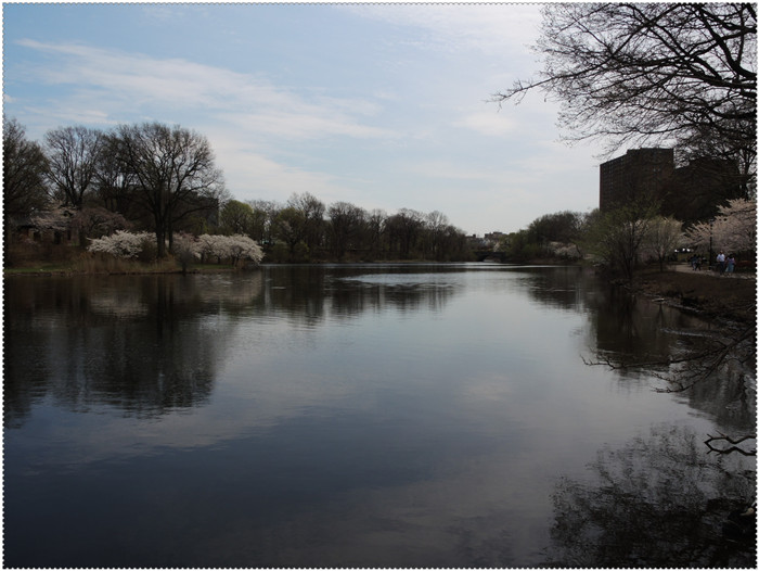 DSCN4977.jpg