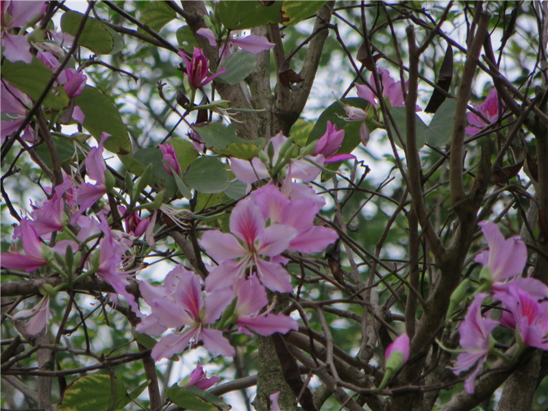 IMG_7264.jpg
